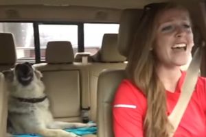 (VIDEO) RASPEVANI ČETVORONOŽAC: Duet ove devojke i njenog ljubimca će vas do suza nasmejati!