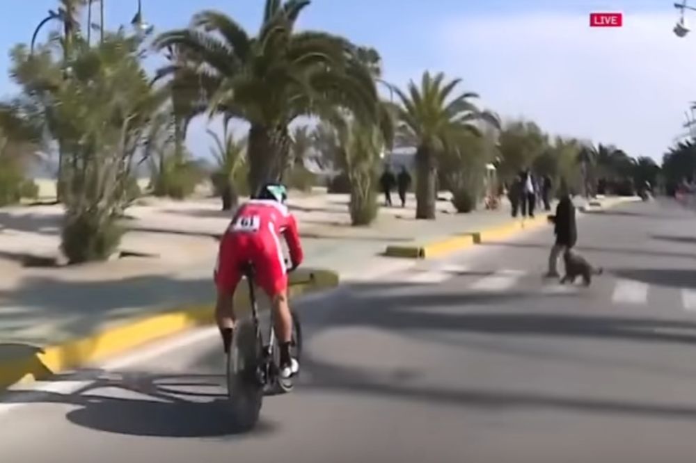 (VIDEO) KAO U FILMU: Biciklista je hitao ka pobedi, a onda se desilo nešto neverovatno! EVO ŠTA!