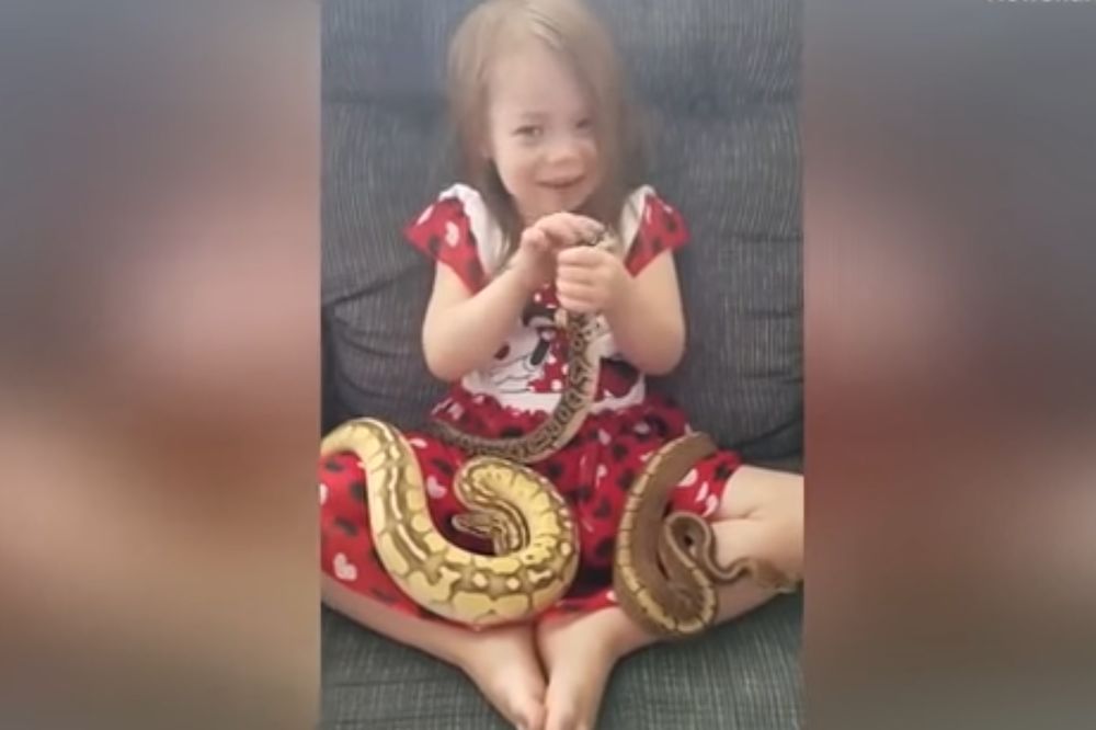 Держать змею в руках. Девочка держит змею. Девочка с питоном в руках. Рука держит змею.