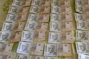 ZAPLENJENI LAŽNI DINARI U PANČEVU: Maloletnici rasturali falsifikovane novčanice