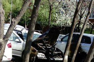 FOTO SULUDA DEČJA IGRA IZMAKLA KONTROLI U NOVOM SADU: Palili mace, zapalili automobile na parkingu?!