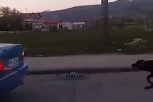 (VIDEO) MONSTRUM IZ NIKŠIĆA: Vezao psa za branik automobila i vukao ga!