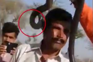 (VIDEO) POLJUBAC SMRTI: Turista pozirao za selfi sa kobrom, a samo sat vremena kasnije je UMRO!