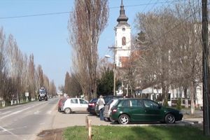 NESVAKIDAŠNJI INCIDENT U BAŠAIDU: VILAMA nasrnuo na muškarca pa ga UDARAO po ruci!