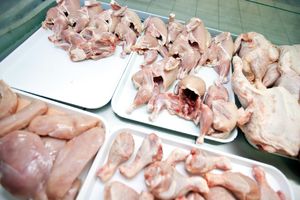 PANIKA U HRVATSKOJ: Opet se pojavila SALMONELA u pilećim prsima, meso povučeno iz prodaje