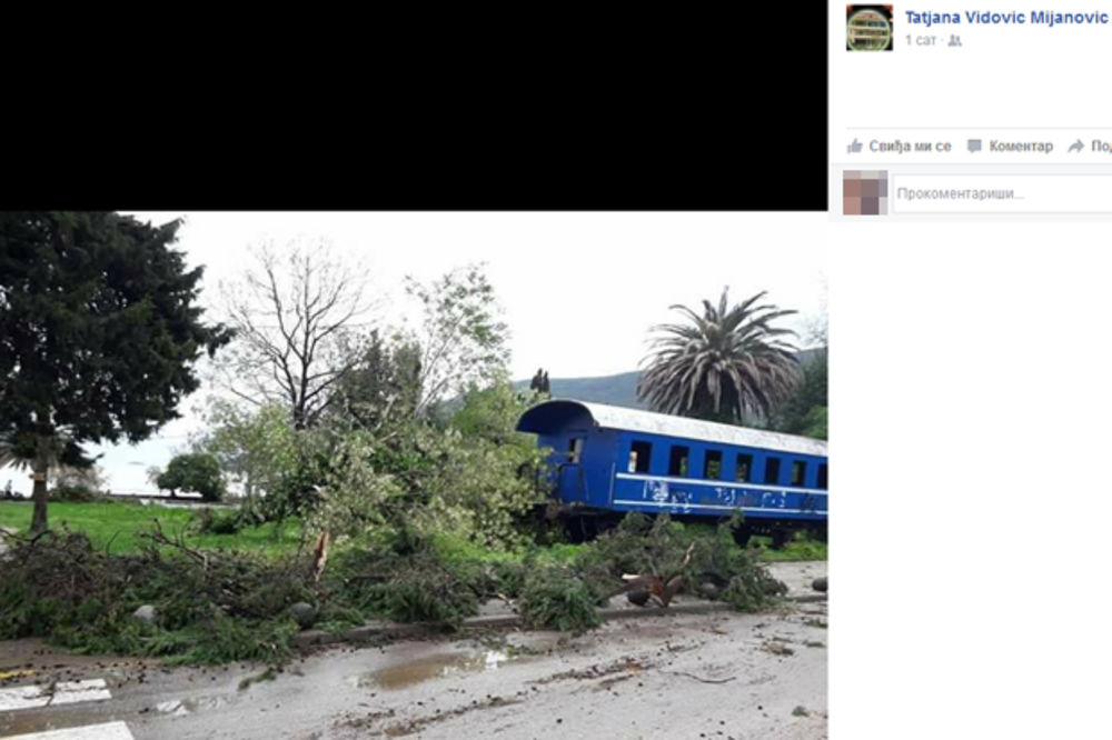 (FOTO) NEVREME U CRNOJ GORI: Oluja čupala drveće i krovove na primorju, kiša poplavila kuće...