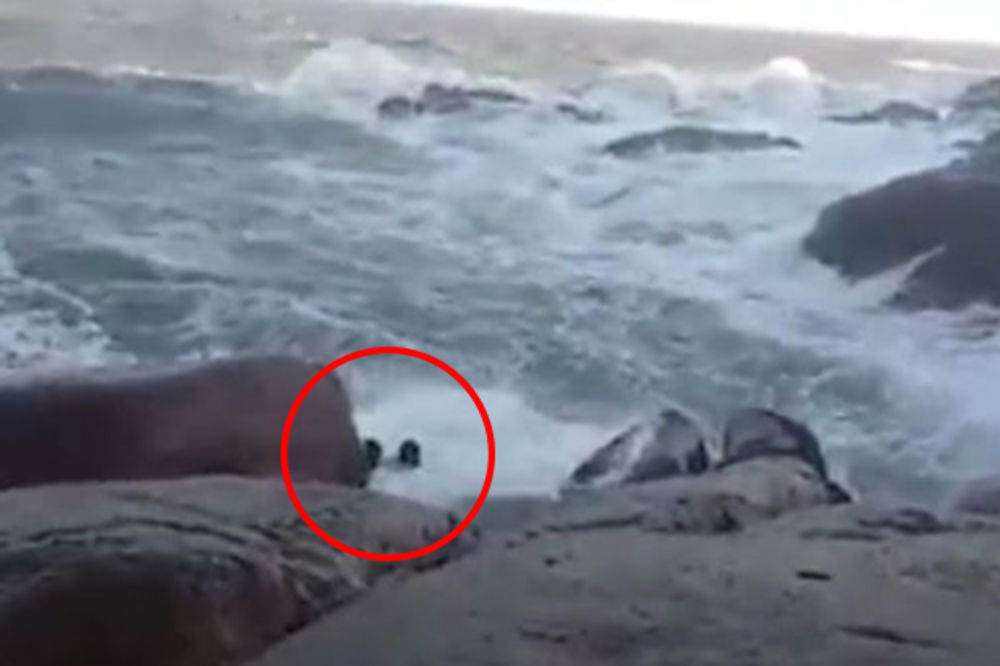 (VIDEO) TRAGIČNA AVANTURA DVOJICE MLADIĆA: Pokušali selfi, progutalo ih uzburkano more