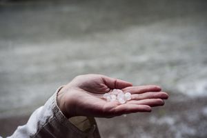 (FOTO) GRAD VELIČINE ORAHA RASTURIO JUG SRBIJE: Veliko nevreme opustošilo voćnjake