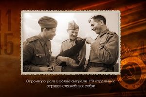 (VIDEO) DO SADA NEVIĐENI SNIMCI CRVENE ARMIJE: Rusi objavili SPEKTAKULARNI video iz II svetskog rata