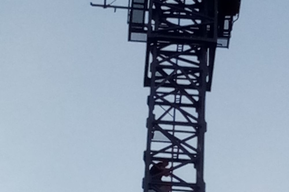 (FOTO) SELFI LUDILO: Dečaci rizikovali život da bi se slikali na vrhu dizalice u Novom Sadu