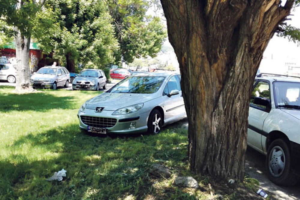 MUKE PROKUPČANA: Bahati parkiraju u parku, ali koga briga