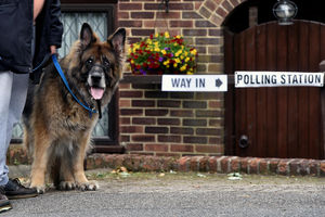 (FOTO) ONI SU NOVI HIT: Psi postali zvezde britanskih izbora