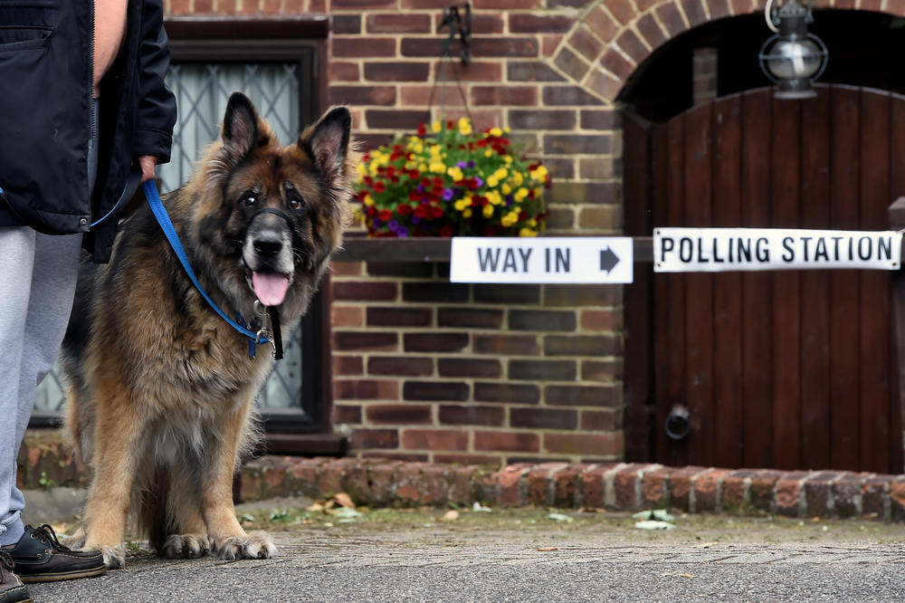 (FOTO) ONI SU NOVI HIT: Psi postali zvezde britanskih izbora