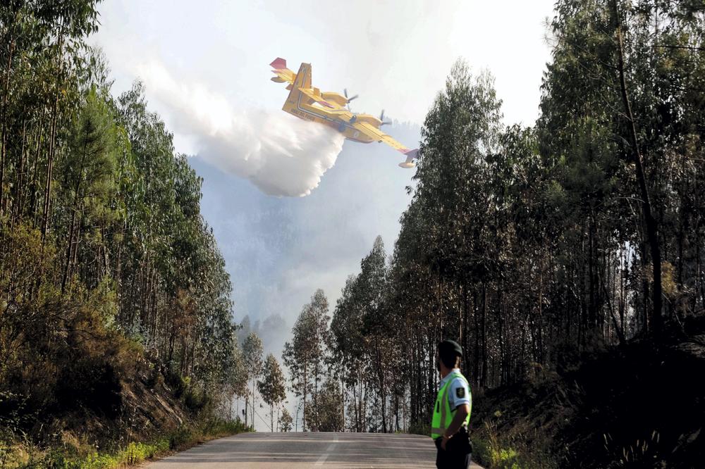 NESREĆA ZA NESREĆOM: U Portugaliji pao avion dok je gasio požar