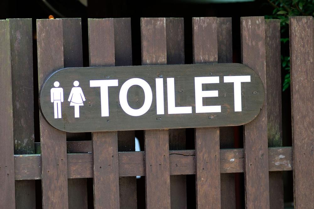 KAŽNJAVAJU IH ZBOG VELIKE NUŽDE: Ovoj državi hoće da uvedu sankcije i to zbog toaleta
