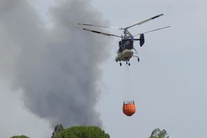 VELIKI POŽAR KOD JABLANICE: I helikopteri gase borovu šumu