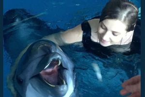 LEPA NASTJA OBJAVILA FOTKE IZ BAZENA: Omiljena Putinova tužiteljka uživa s delfinima