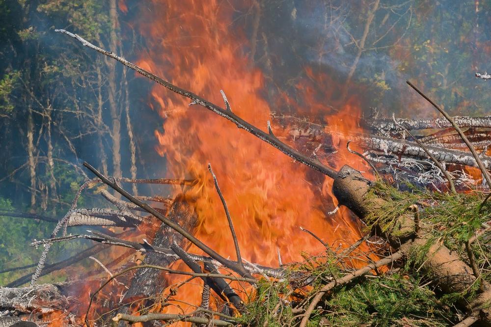 GORI I KOD ZAGREBA: Izbio šumski požar na području punom municije, čuju se eksplozije, jedan vatrogasac povređen