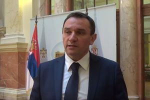 DEJAN ŠULKIĆ DSS: Glasaćemo protiv Ane Brnabić jer je to vlada koalicinog namirenja