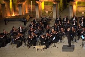 (VIDEO) PA OVO JE HIT: Pas uleteo na koncert  bečkog orkestra! Ali čekajte da vidite reakciju muzičara!