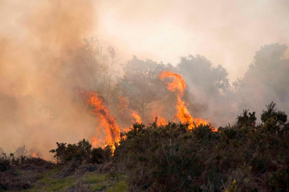 NEMAČKOJ VOJSCI NE TREBA NEPRIJATELJ: Tokom manevara zapalili šumu, požar se video u dve države! (FOTO)