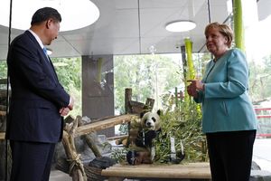 (VIDEO) OVO SU NOVI AMBASADORI: Kineski predsednik pozajmio Berlinu dve džinovske pande