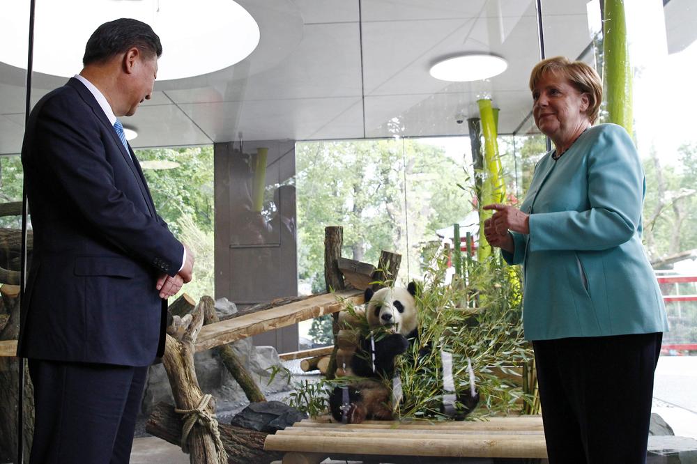 (VIDEO) OVO SU NOVI AMBASADORI: Kineski predsednik pozajmio Berlinu dve džinovske pande