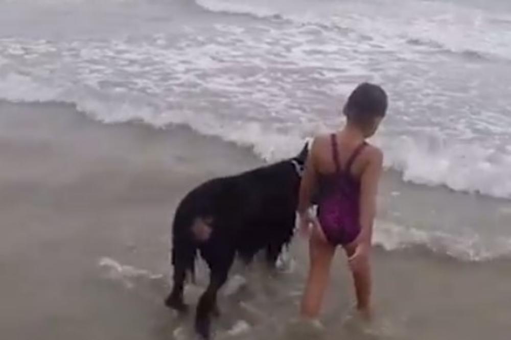 (VIDEO) DEVOJČICA IDE KA VELIKOJ NEVOLJI: Ovako pas pokušava da je spasi!