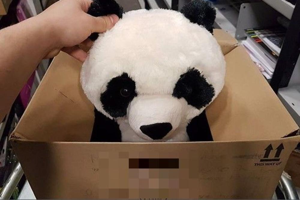 (FOTO) DEČAKOVA PORUKA NA IGRAČKI RASPLAKALA SVET: Moja mama nema para, ali molim vas ne kupujte mi ovu pandu
