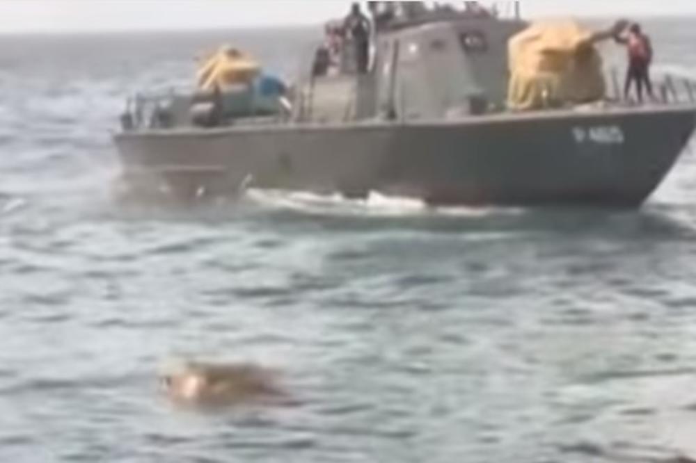 (VIDEO) ŠOKANTNA AKCIJA NA OTVORENOM MORU: Mornarica ove zemlje je spasila džinovsku životinju