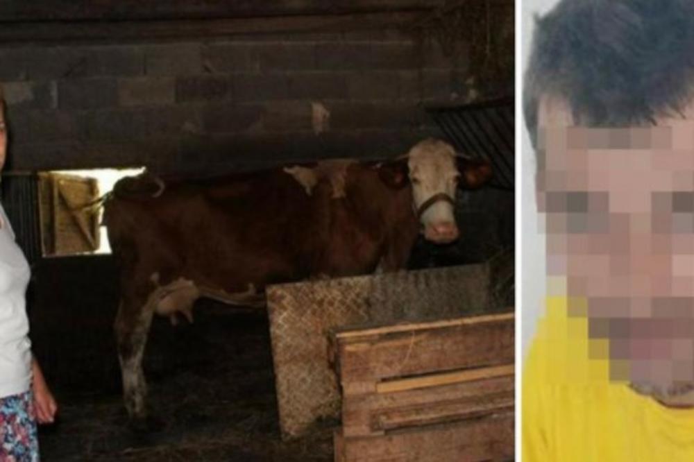 (FOTO) STRAVA I UŽAS: Zatekla komšiju kako joj siluje kravu!