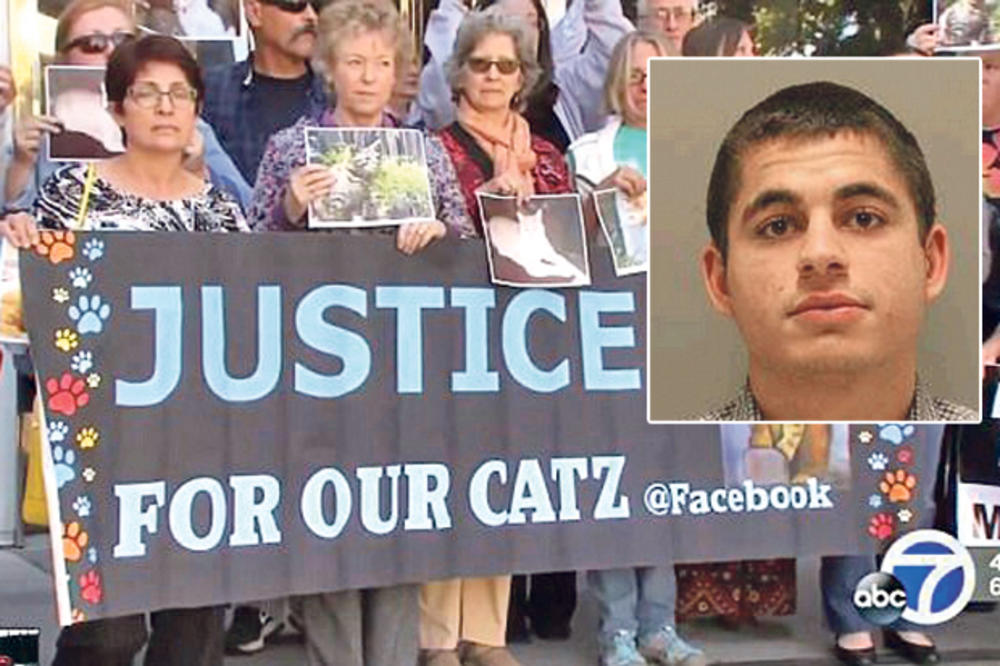 SUD U KALIFORNIJI BEZ MILOSTI: Ubio 21 mačku, robija 16 godina!