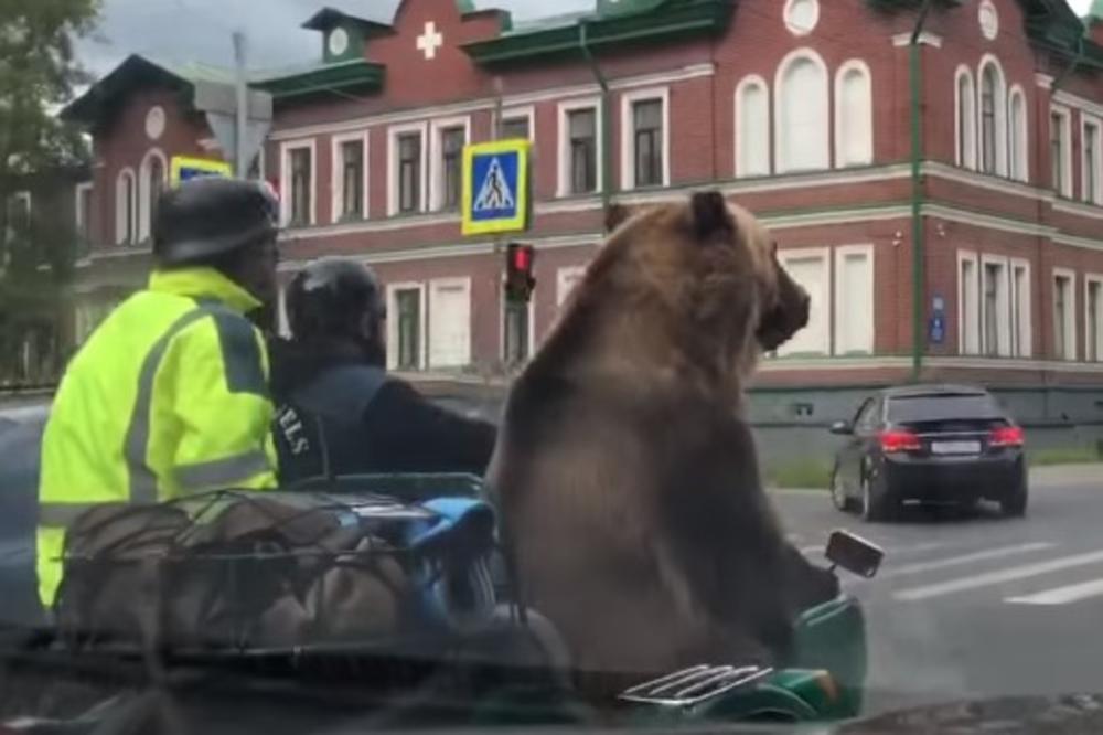 (VIDEO) RUSI VOZILI MEDVEDA NA MOTORU: Neviđena scena na ulici, a pravi šok je usledio kada je životinja uradila ovo!