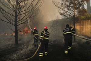 PAO PIROMAN U ISTRI: Namerno izazvao 25 požara, izgoreli i maslinjaci