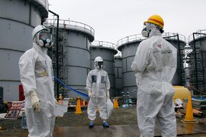 RADIJACIJA OZBILJNO POREMETILA ŽIVI SVET: Novo istraživanje u Fukušimi otkrilo zastrašujuće rezultate