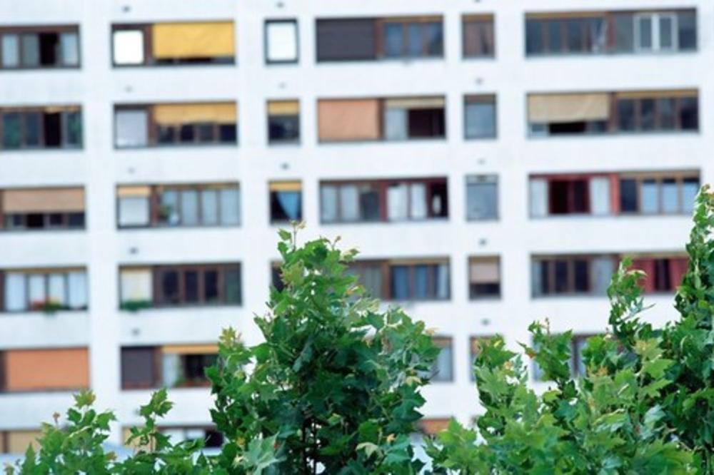 TAMAN SMO IH NAUČILI DA SE NE IZUVAJU ISPRED VRATA,A SAD OVO! Bukti RAT komšija u zgradi u Beogradu: Hoće skalpelom da SEKU CIPELE