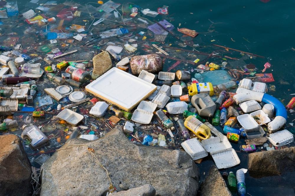 Smrt za životinjski i biljni svet... Plastika u okeanu