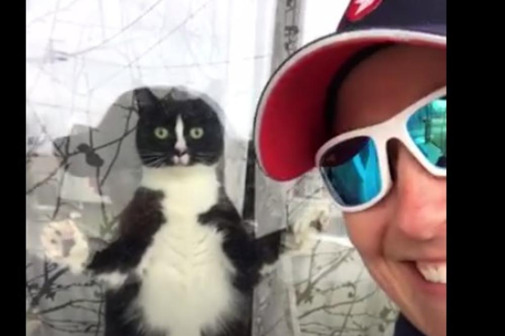 (VIDEO) ŽENA SVAKI DAN DONOSI POŠTU U OVU KUĆU: Kada vidite kako je dočekuje mačak, plakaćete od smeha!