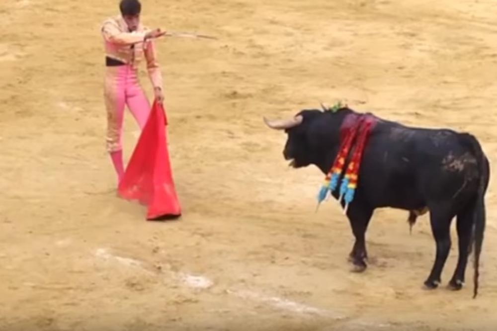 (VIDEO) KRVAVA KORIDA: Bik toreadoru zario rogove u leđa i potpuno ga proburazio