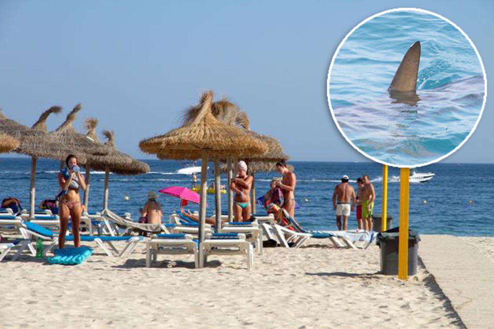 PANIKA NA OMILJENOM EVROPSKOM OSTRVU: Turistu napala ajkula na popularnoj plaži