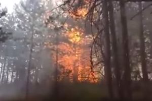 (VIDEO) DRAMATIČNO U MAKEDONIJI! VATRA STIGLA NA 5 METARA OD KUĆA: Evakuisano stanovništvo zbog požara koji besni!
