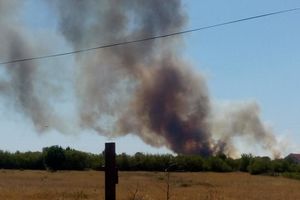 VELIKI POŽAR KOD KISTANJA UŠAO I U NACIONALNI PARK KRKA: Izgorelo 1.000 hektara, vatrogascima stiže pojačanje