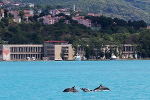 PRED IZUMIRANJEM ZBOG RIBARA: Od početka godine u Crnom moru uginulo 119 delfina