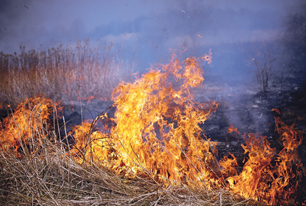 PRVOMAJSKI IZLETNICI IZAZVALI POŽAR NA ZOBNATIČKOM JEZERU: Gust crni dim i plamen kuljaju u nebo, vatrogasci na licu mesta (FOTO)