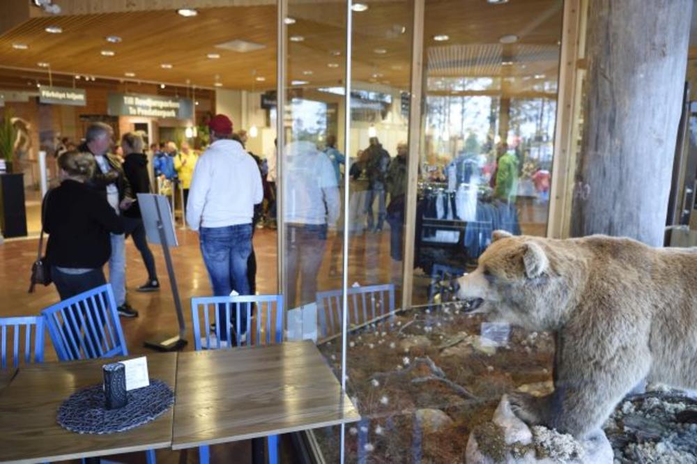 (FOTO) HOROR U ŠVEDSKOJ: Čuvara tinejdžera iznenadio medved, mladić podlegao povredama