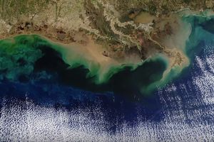 TAMO NEMA ŽIVOTA: U ovom zalivu je otkrivena najveća zagađena mrtva zona u istoriji
