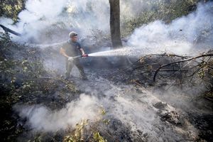 NE BIRAJU SREDSTVA: Vatrogasci volonteri podmetali požare da zarade na gašenju