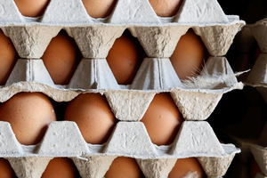 ALARMANTNO: Zatrovana jaja otkrivena u 40 zemalja!
