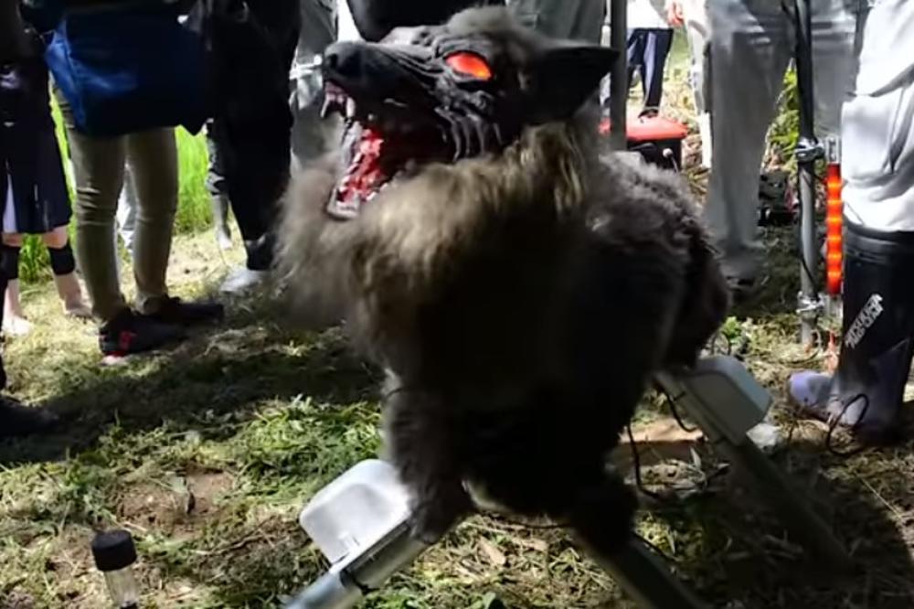 (VIDEO) ĐAVOLJE STRAŠILO: Evo šta su japanski farmeri poslali u polje!