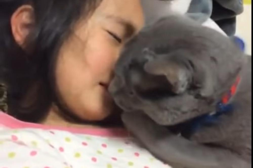 (VIDEO) SNIMAK KOJI TOPI I NAJLEDENIJA SRCA: Mačka tešila uplakanu devojčicu i time dokazala jednu veoma bitnu stvar